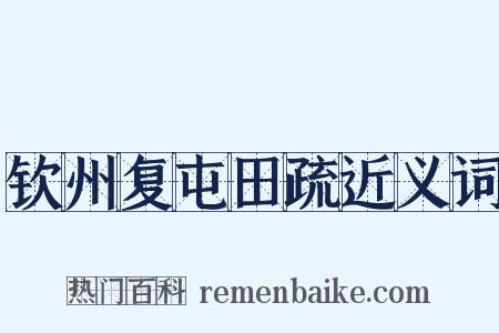 钦州复屯田疏近义词是什么意思的图片
